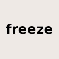 freeze是什么意思