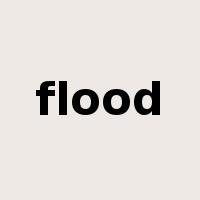 flood是什么意思