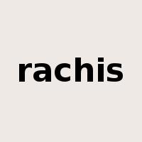 rachis