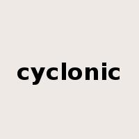 cyclonic是什么意思