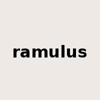 ramulus是什么意思