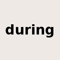 during是什么意思