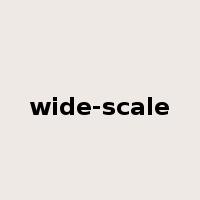 wide-scale是什么意思