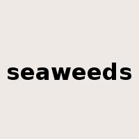 seaweeds