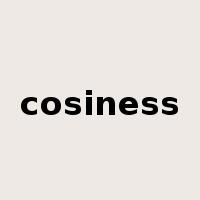 cosiness是什么意思