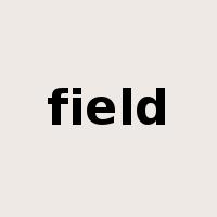 field是什么意思