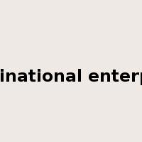 multinational enterprise是什么意思