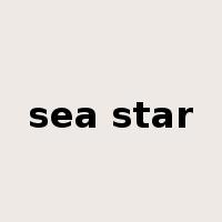 sea star是什么意思