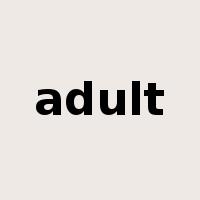 adult是什么意思