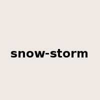 snow-storm是什么意思