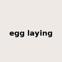 egg laying是什么意思