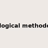 methodological methodologically是什么意思