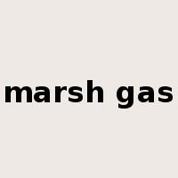 marsh gas