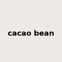 cacao bean是什么意思