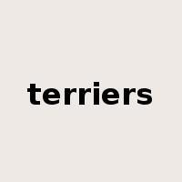 terriers是什么意思