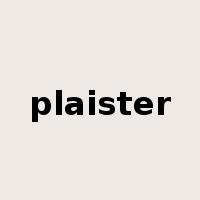 plaister是什么意思