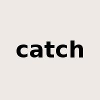 catch是什么意思