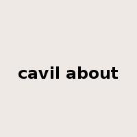 cavil about是什么意思