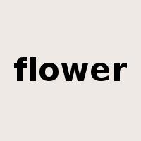 flower是什么意思