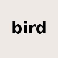 bird是什么意思