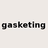 gasketing是什么意思