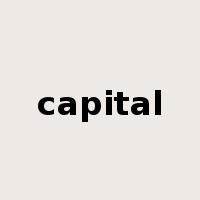 capital是什么意思