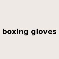 boxing gloves是什么意思