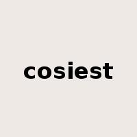 cosiest是什么意思