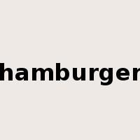 hamburger是什么意思