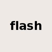 flash是什么意思