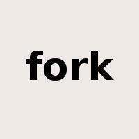 fork是什么意思