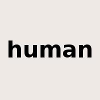 human是什么意思