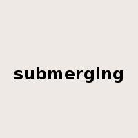 submerging是什么意思