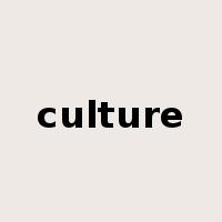 culture是什么意思