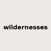 wildernesses是什么意思