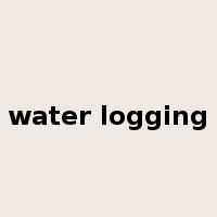 water logging是什么意思