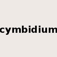 cymbidium是什么意思