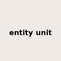 entity unit是什么意思