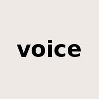 voice是什么意思