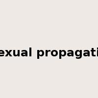 asexual propagation是什么意思