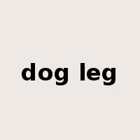 dog leg是什么意思