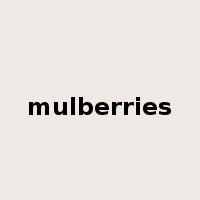 mulberries是什么意思