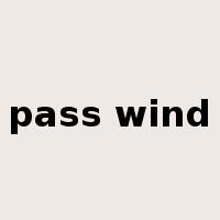 pass wind是什么意思