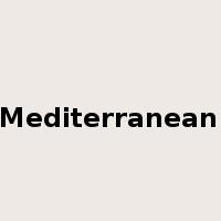 the Mediterranean Sea是什么意思