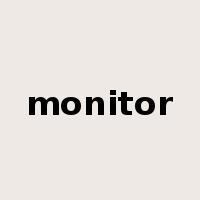 monitor是什么意思