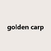 golden carp是什么意思