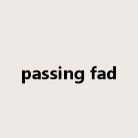 passing fad是什么意思