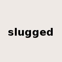 slugged是什么意思