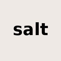 salt是什么意思