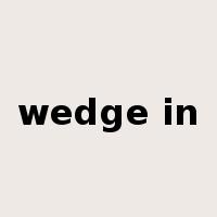 wedge in是什么意思